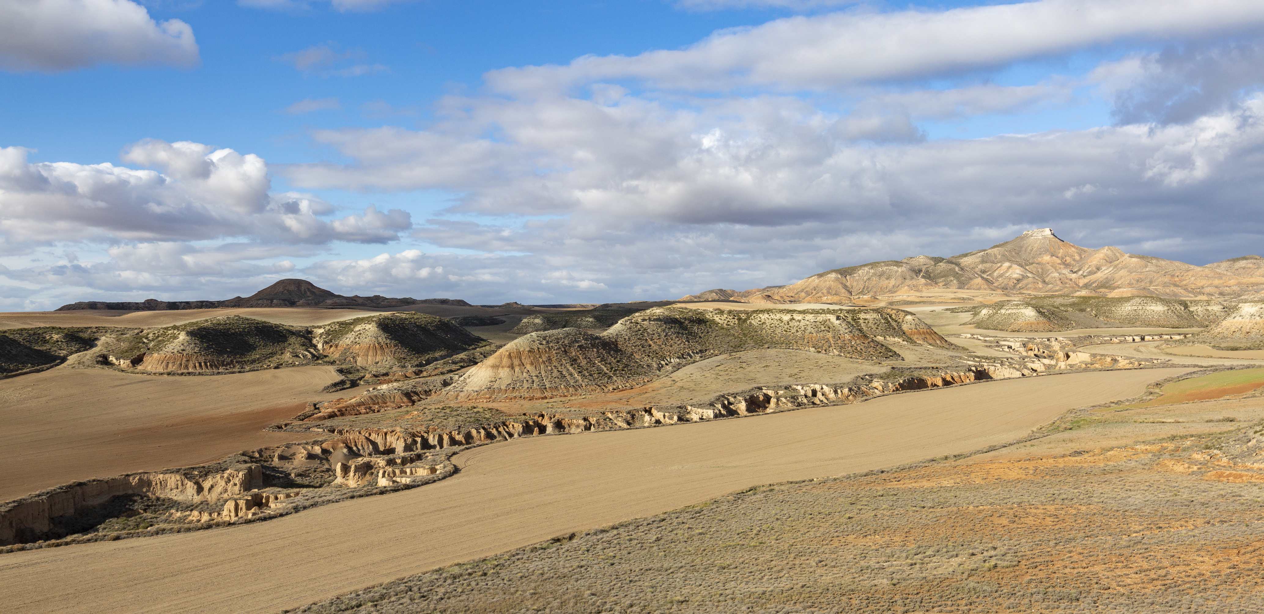 paisaje de Bardena Negra